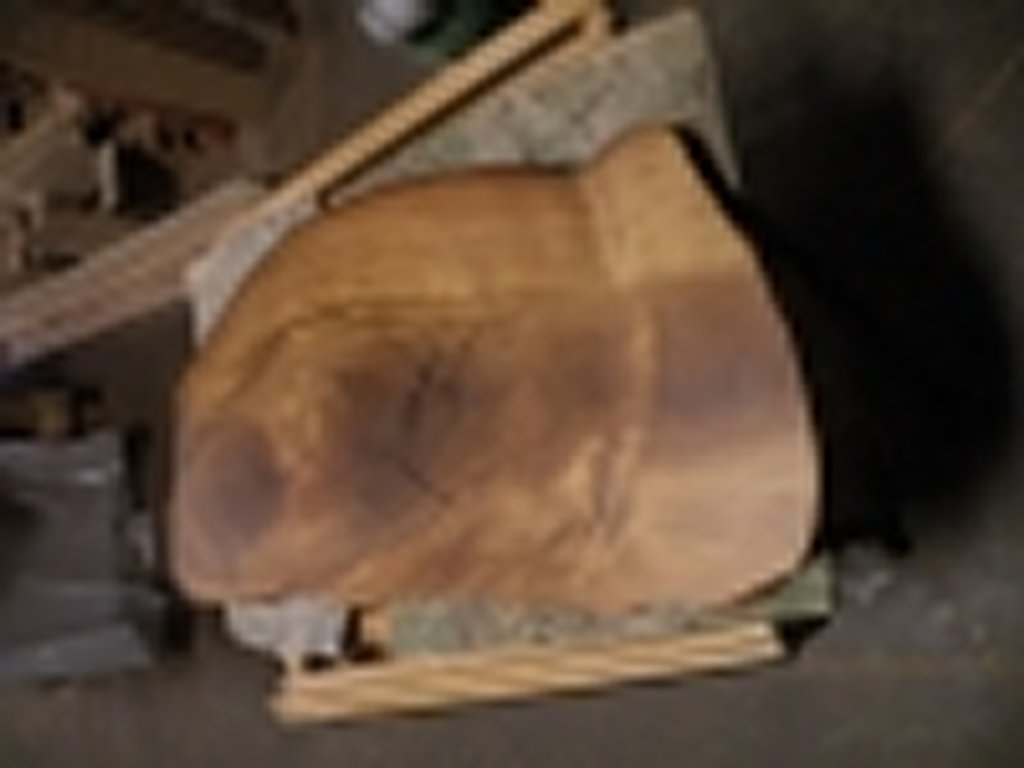 Dscn5556
