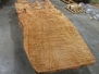 18 Feet of Ancient Kauri!