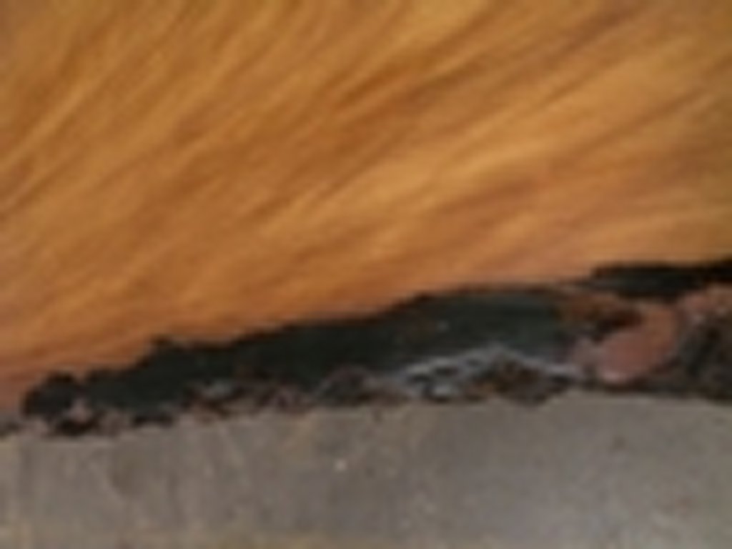 Dscn5184