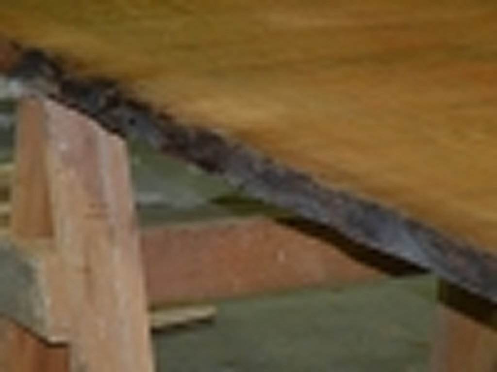 Dscn9909