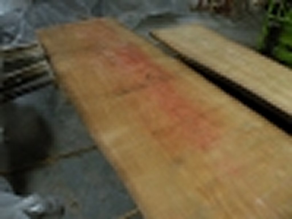 Dscn9912