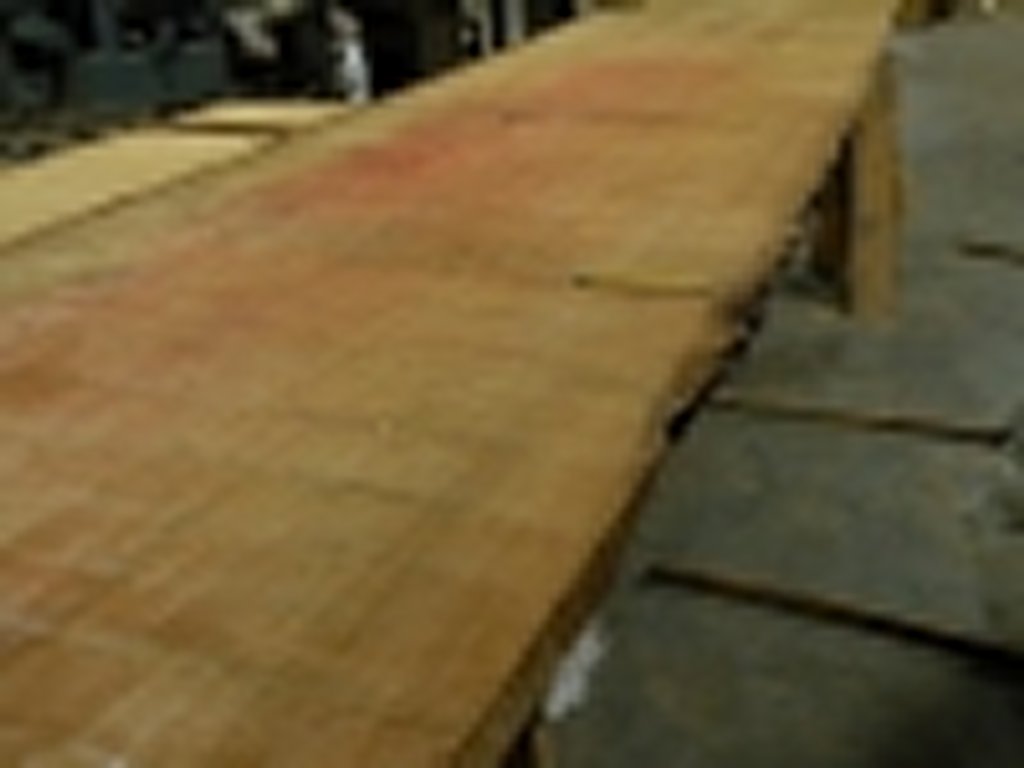 Dscn9919
