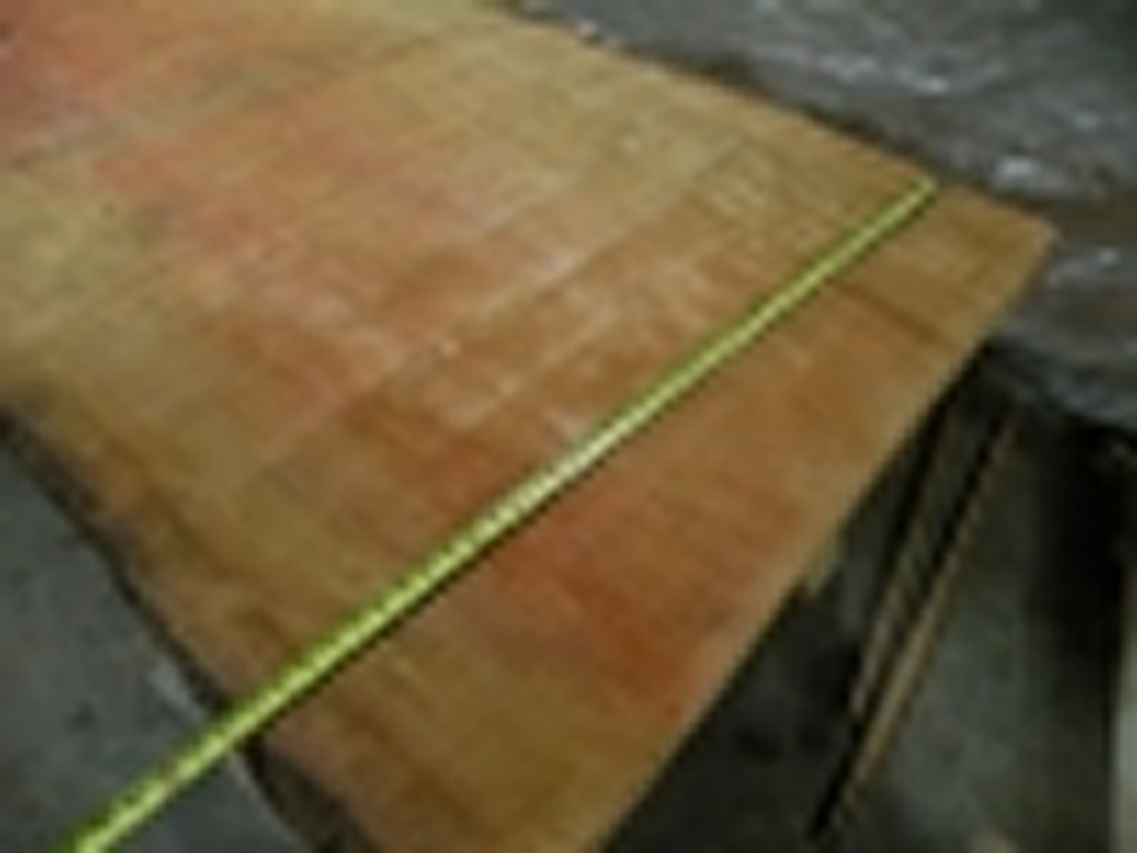 Dscn9928
