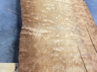 New2015_RawPics_249