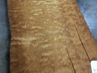 New2015_RawPics_277