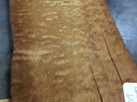 New2015_RawPics_278