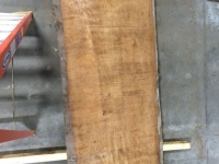 New2015_RawPics_51