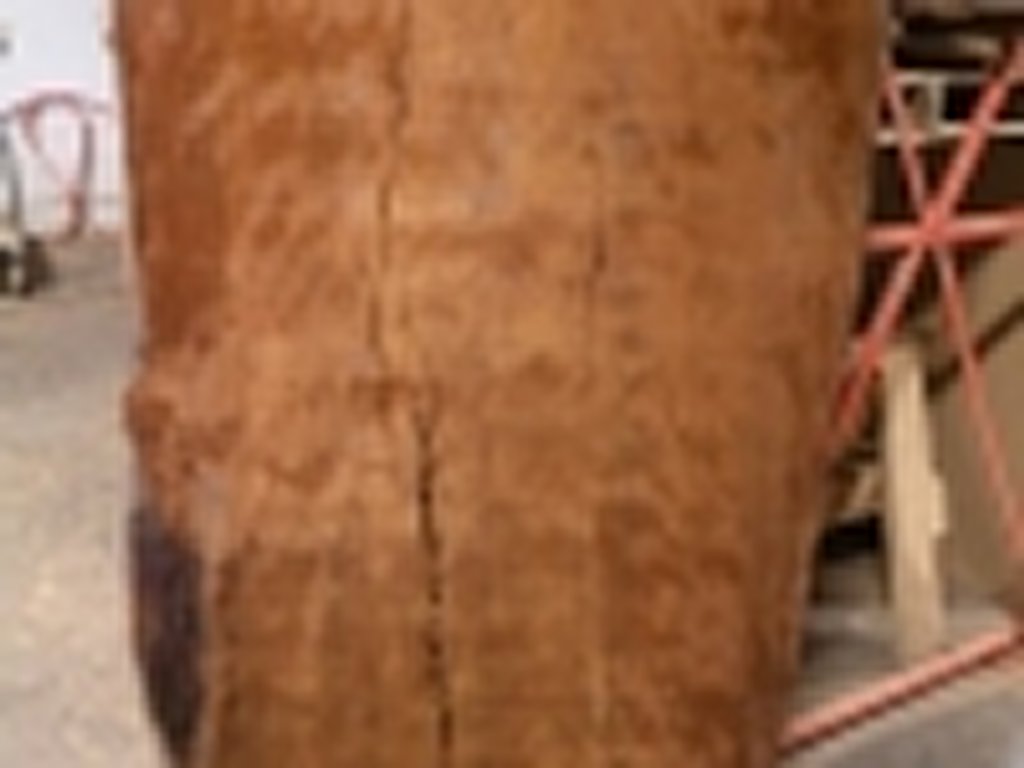 Dscn5445