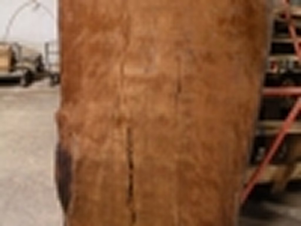 Dscn5446