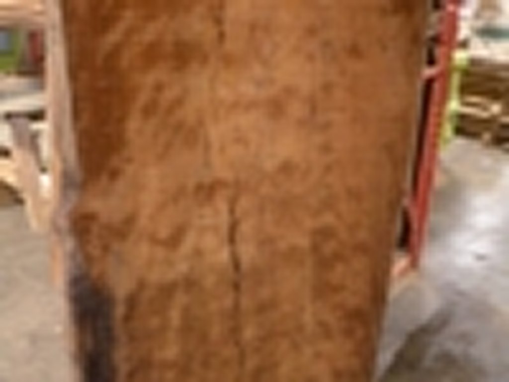 Dscn5447