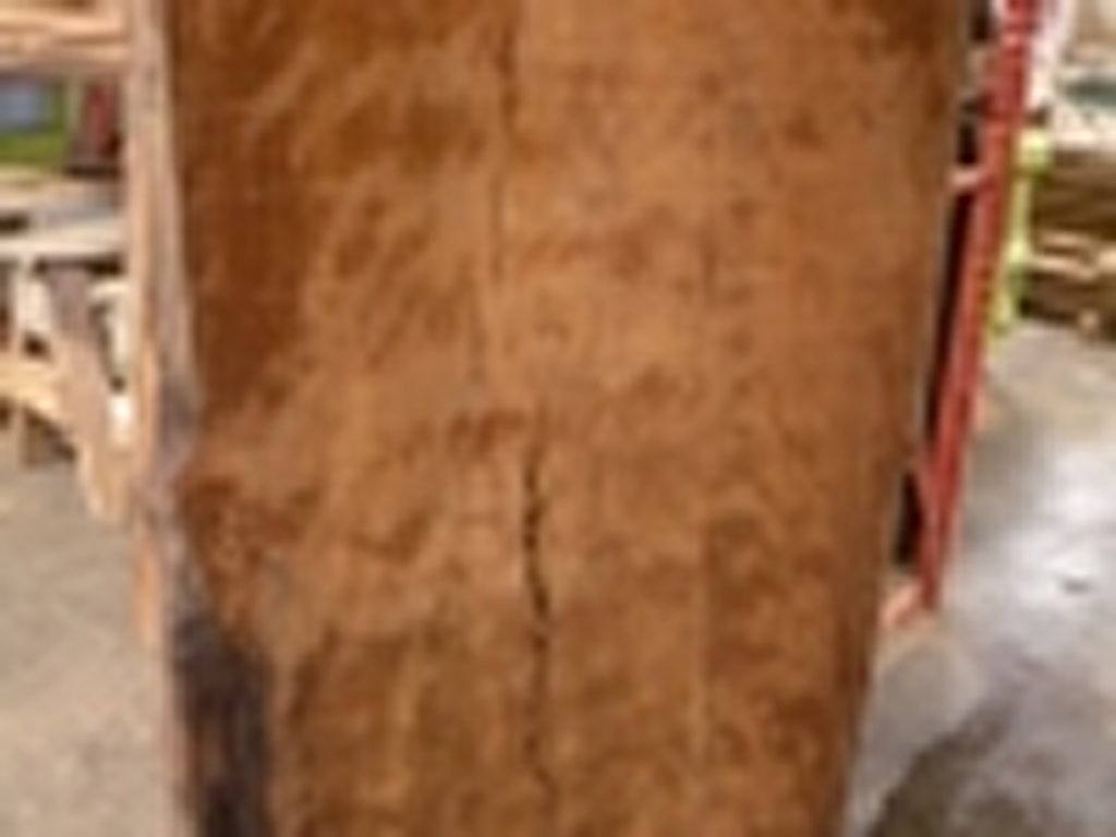 Dscn5448