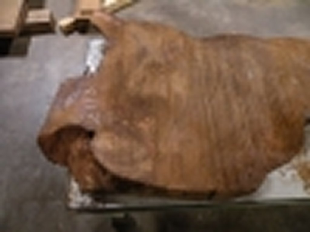 Dscn5450