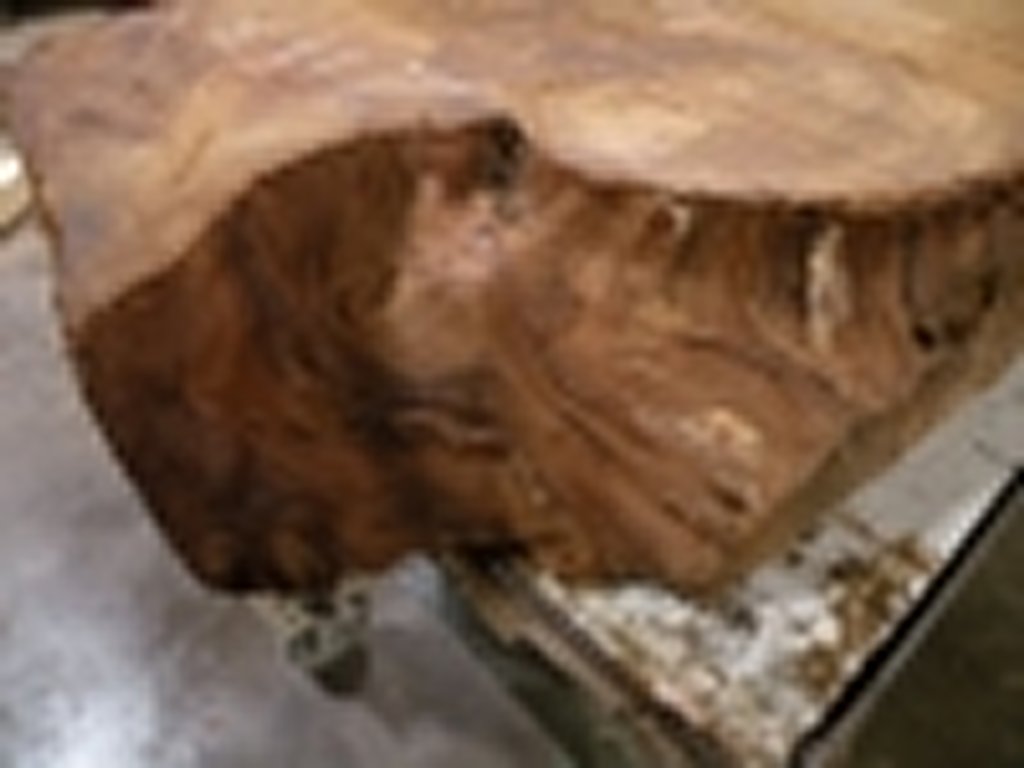 Dscn5454