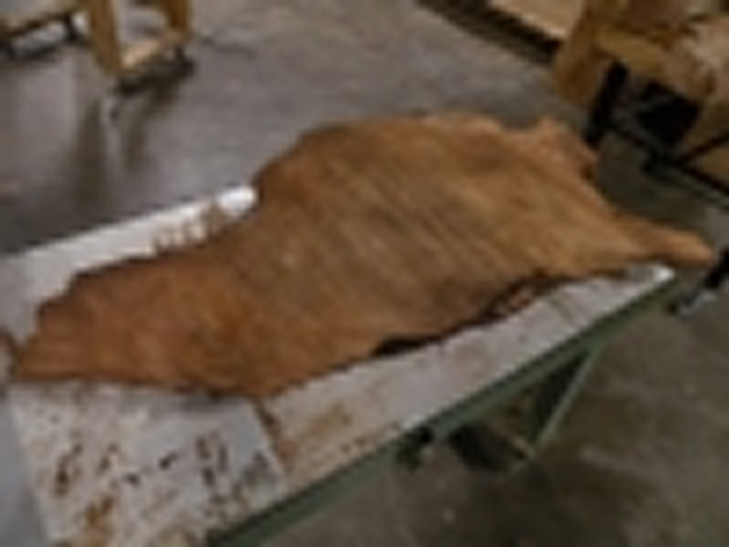 Dscn5458