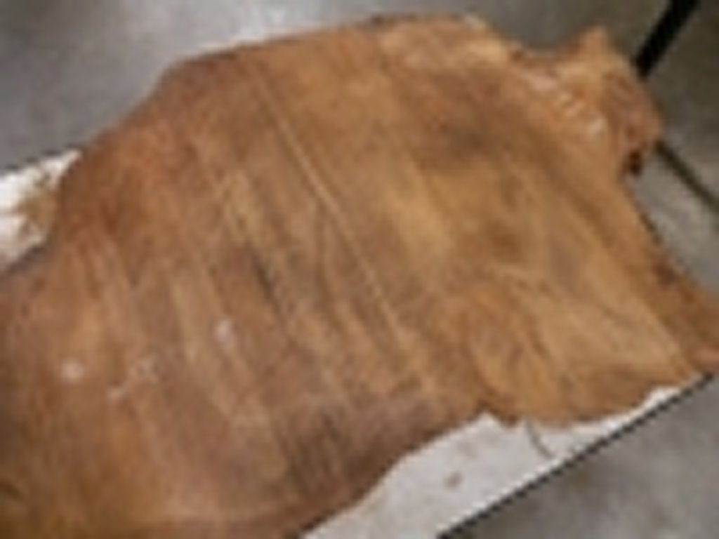 Dscn5459