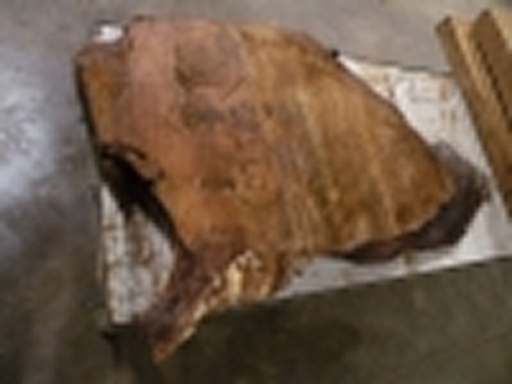 Dscn5460