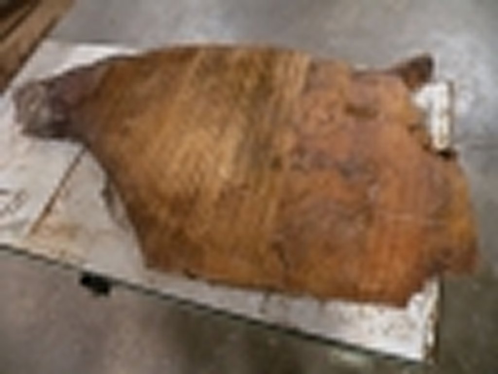Dscn5461
