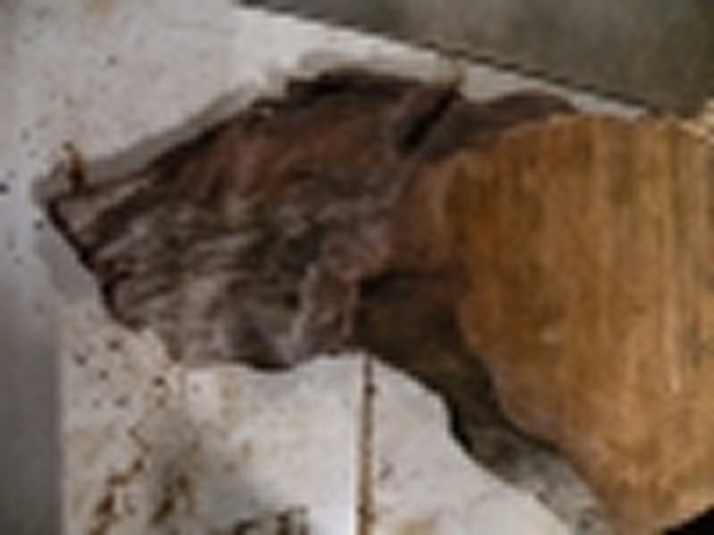 Dscn5462
