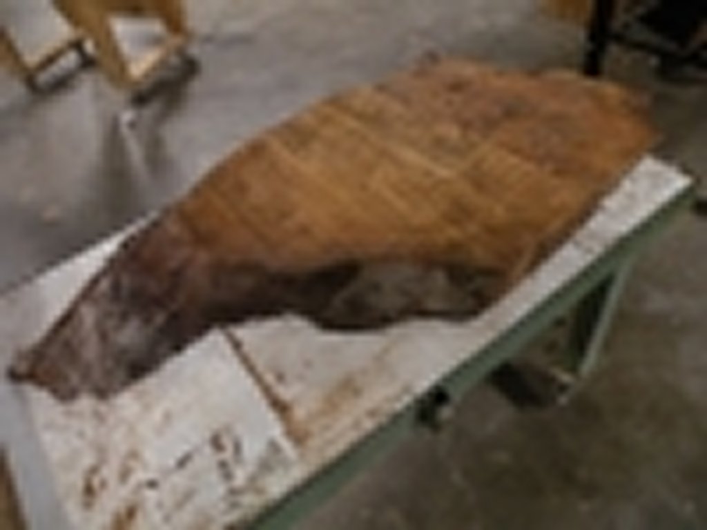 Dscn5463
