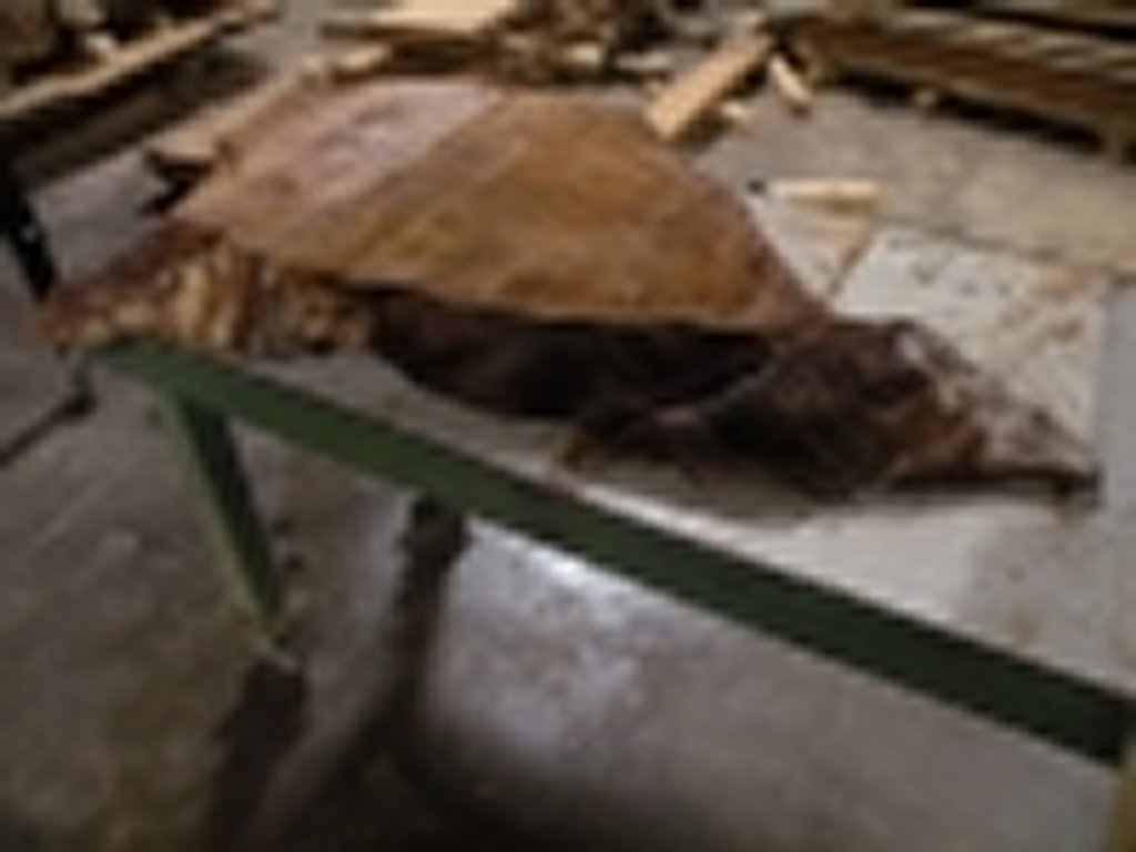 Dscn5465