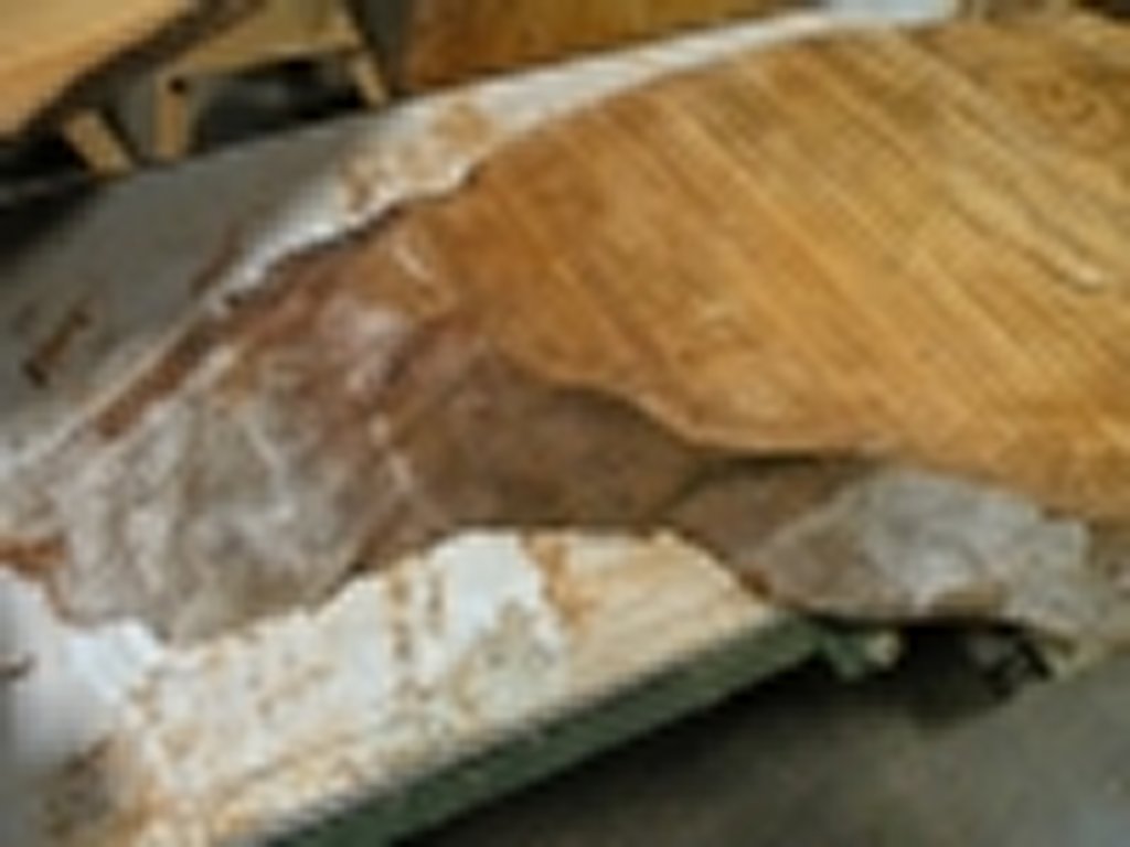 Dscn5645