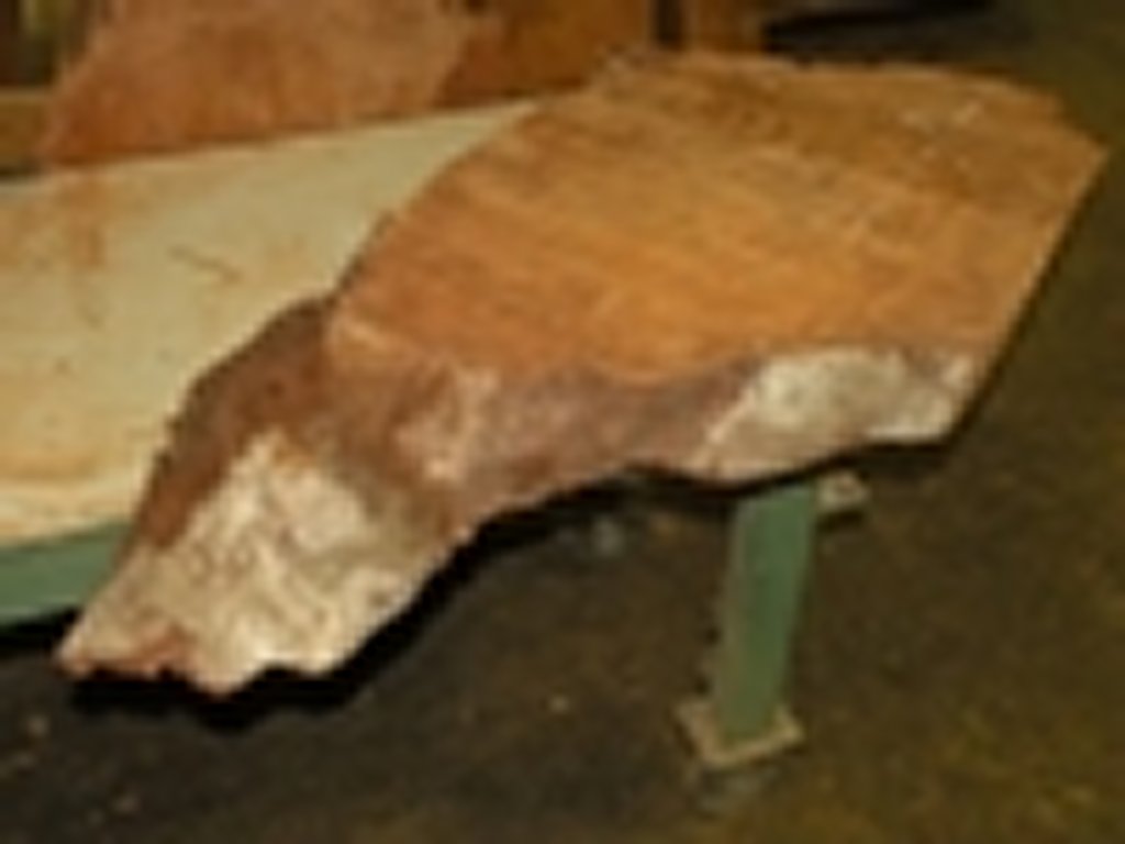 Dscn5656