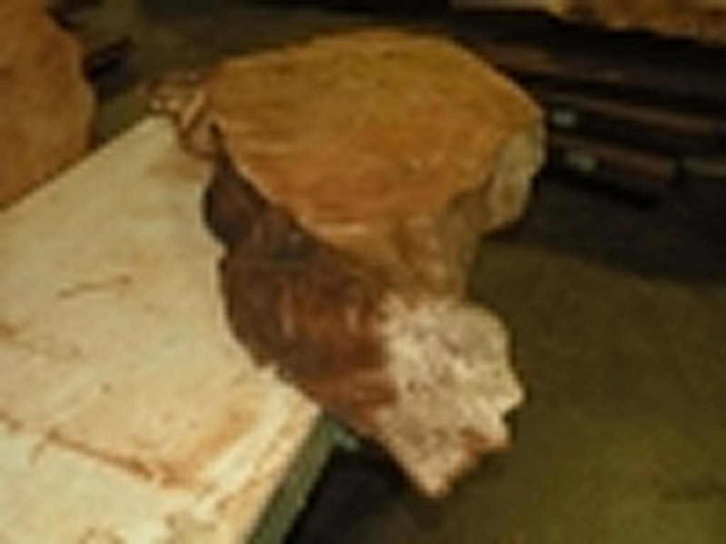 Dscn5657