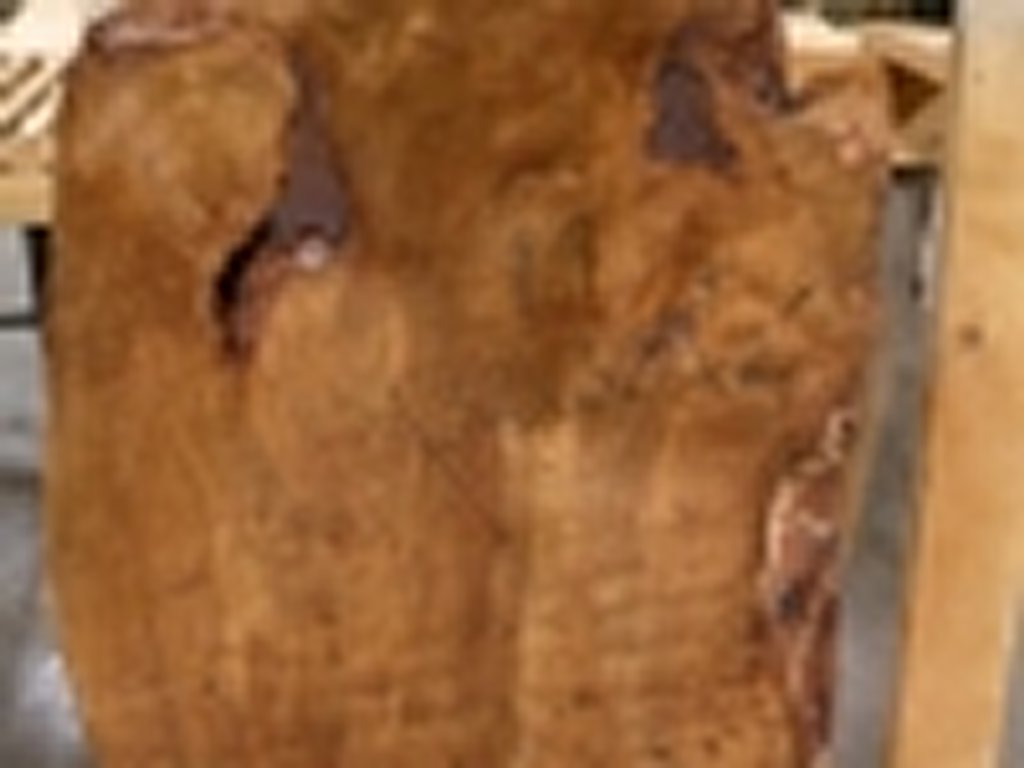 Dscn5523