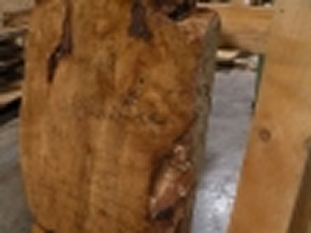Dscn5525