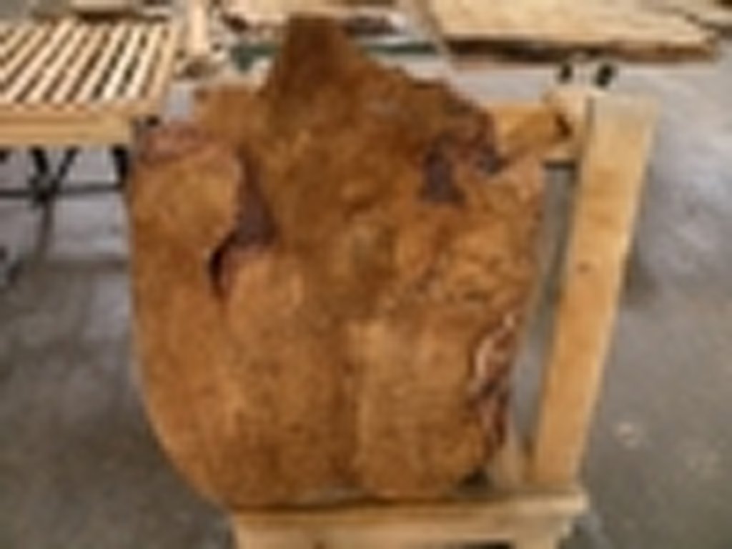 Dscn5526