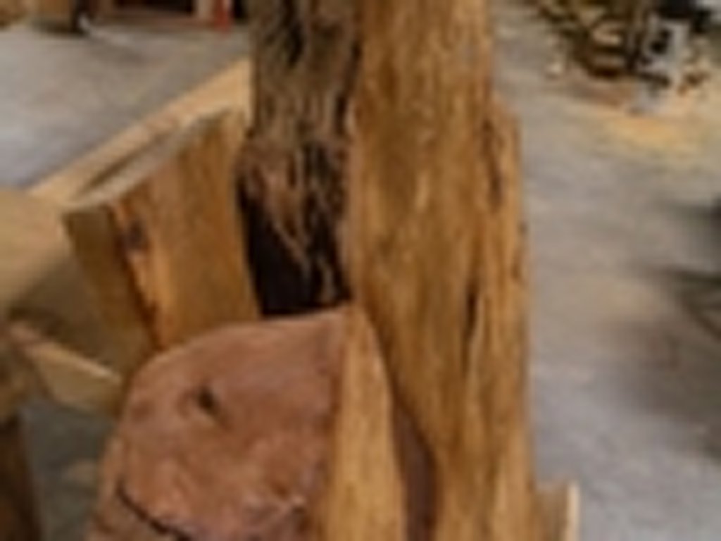 Dscn5528