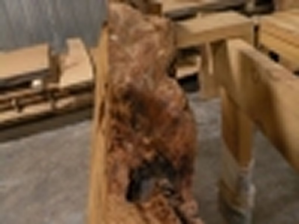 Dscn5529