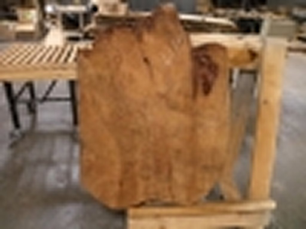Dscn5530