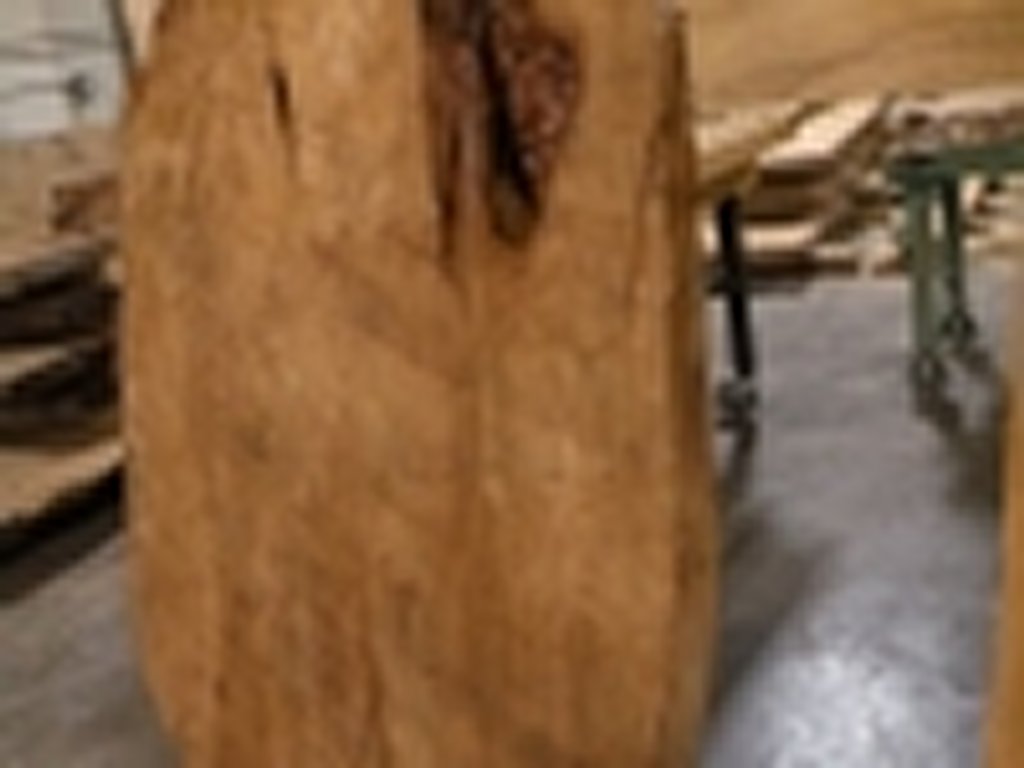 Dscn5532