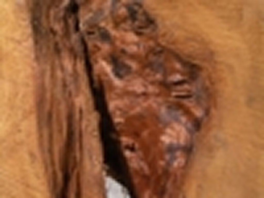 Dscn5535
