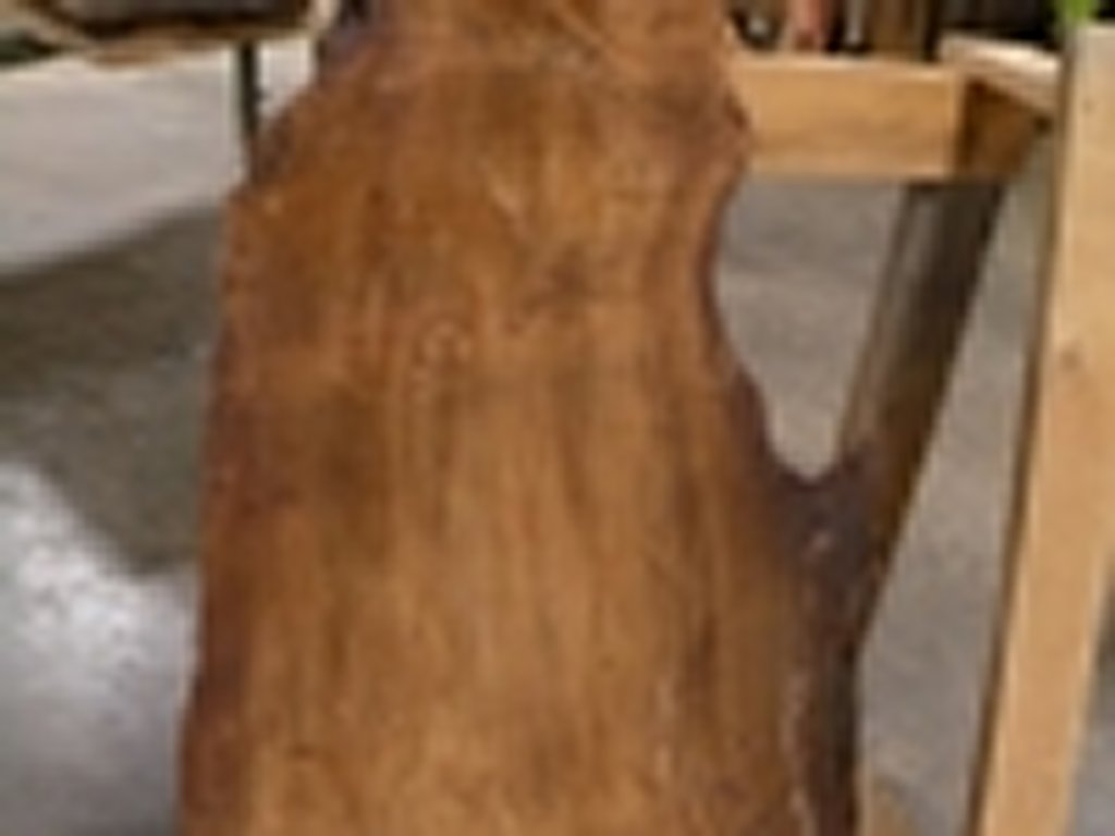 Dscn5490