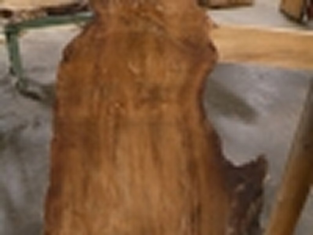 Dscn5491