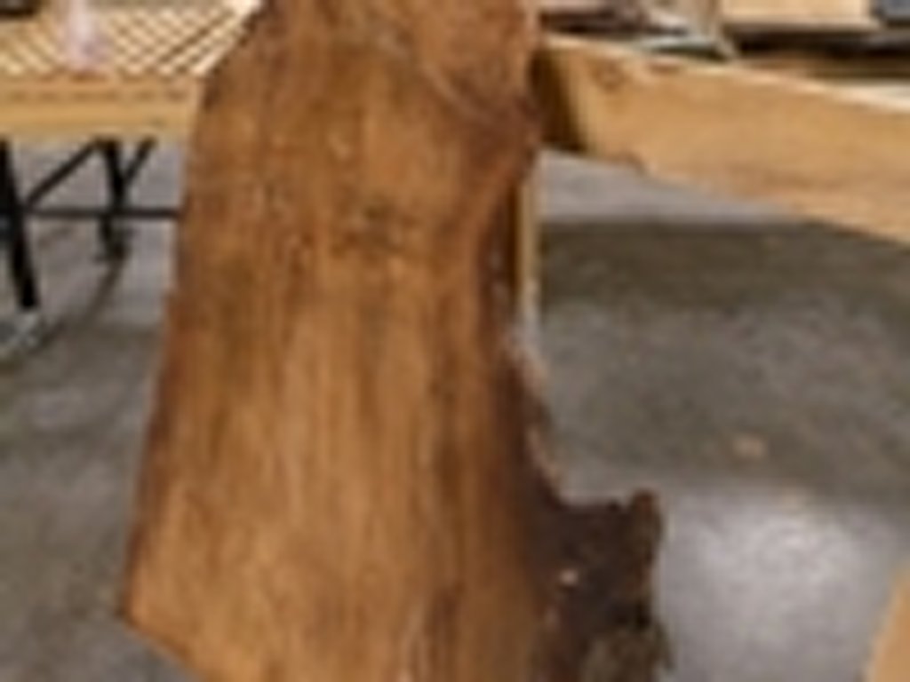 Dscn5492