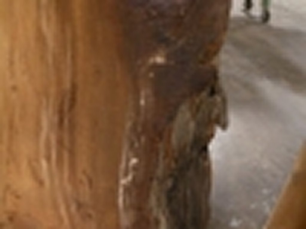 Dscn5494