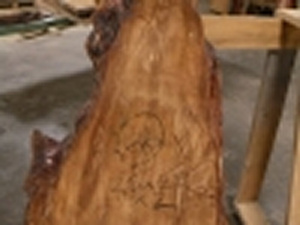 Dscn5495