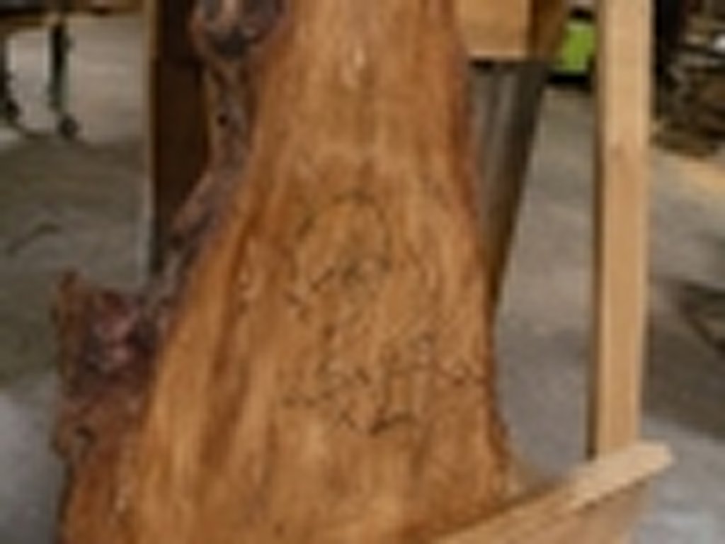 Dscn5496