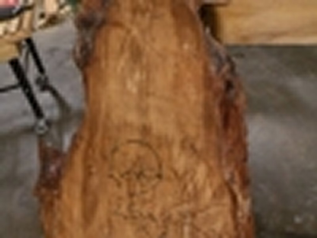 Dscn5499