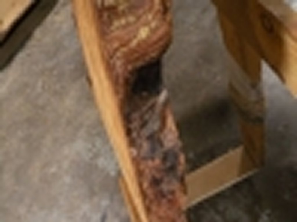 Dscn5502