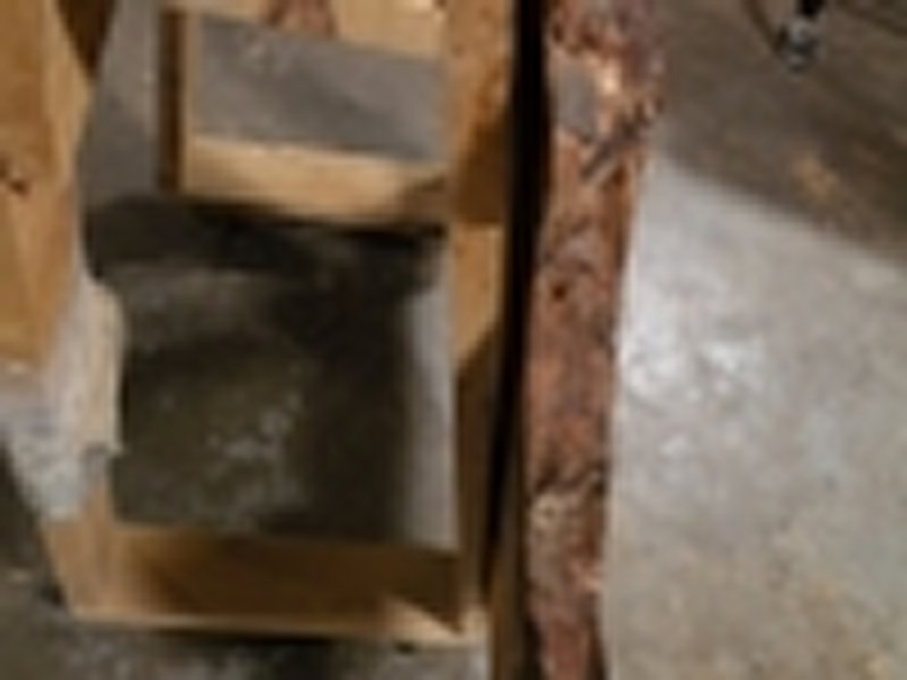 Dscn5503