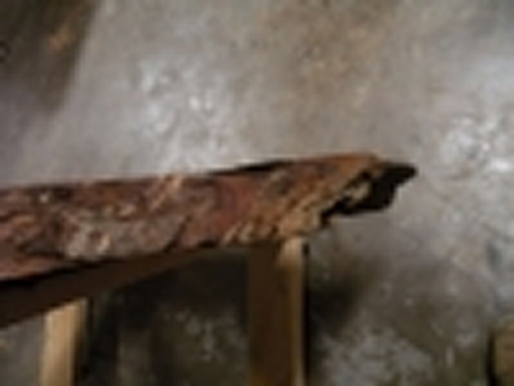 Dscn5505