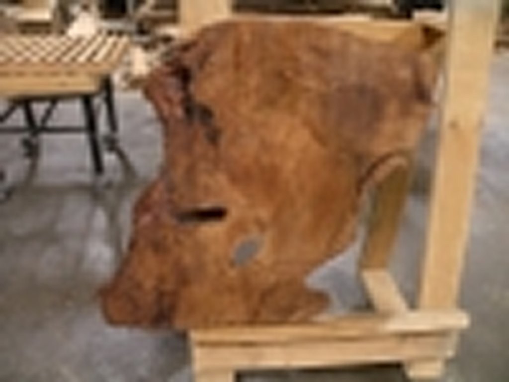 Dscn5506