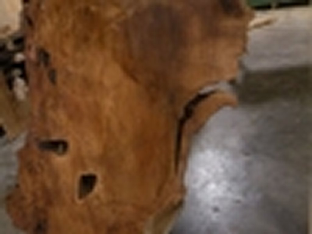 Dscn5508