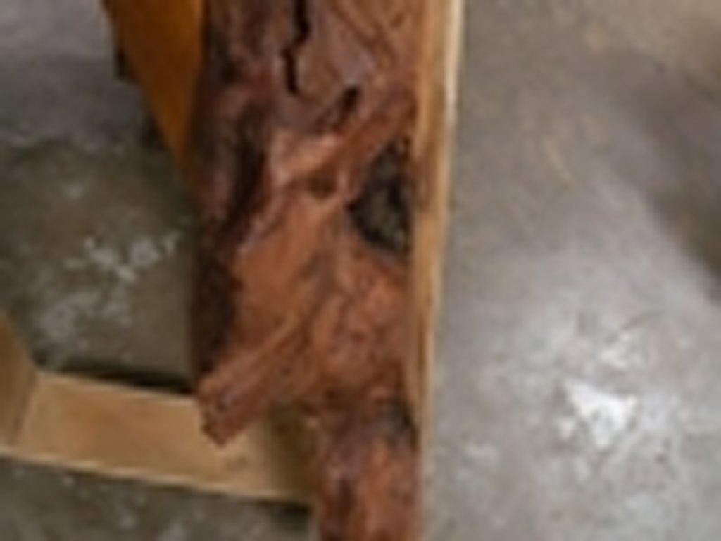 Dscn5510