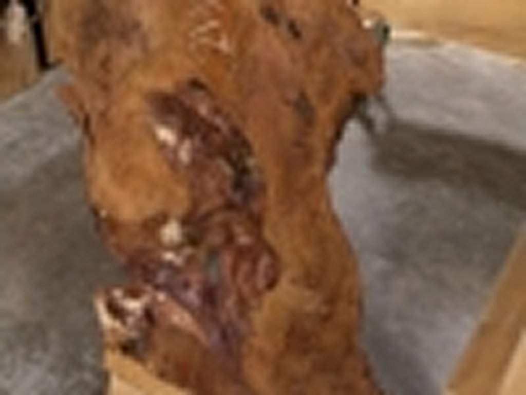 Dscn5514