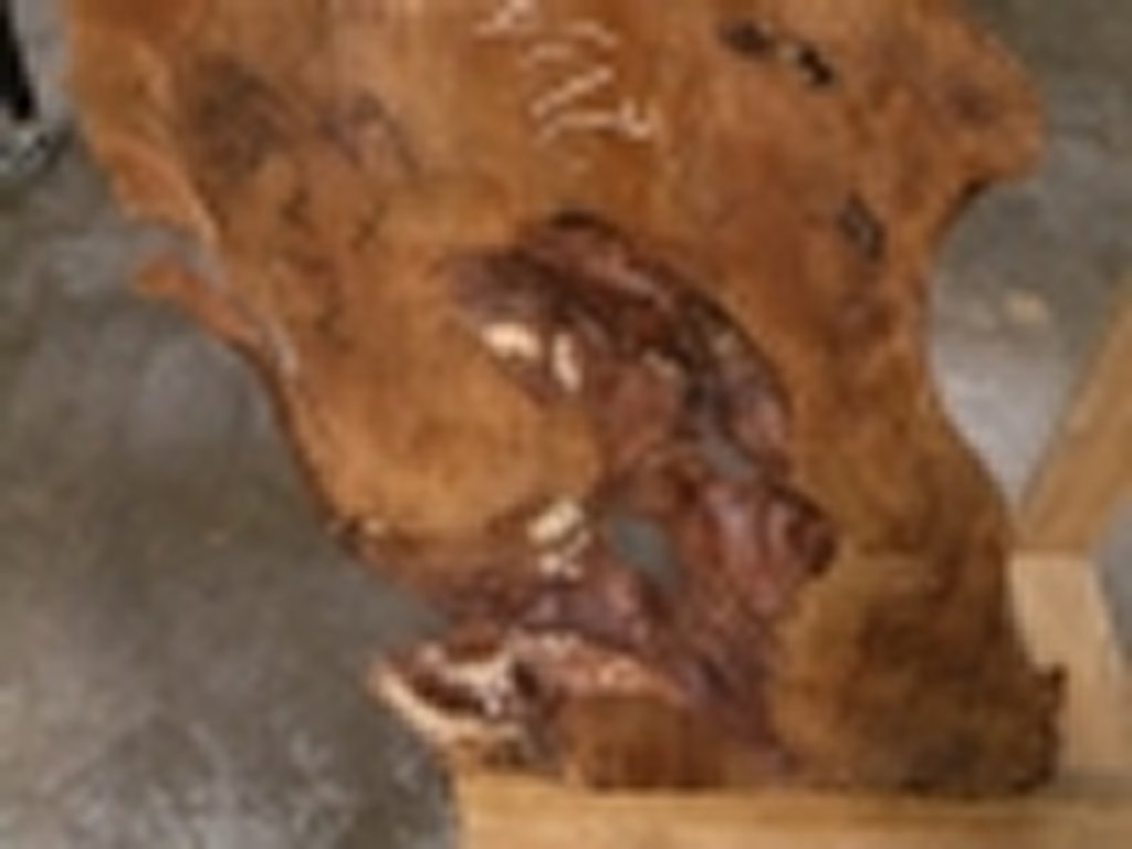 Dscn5516